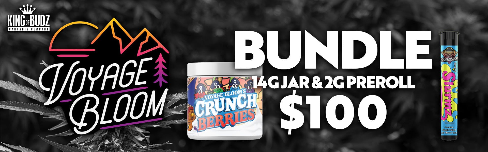 Voyage Bloom $100 Bundle