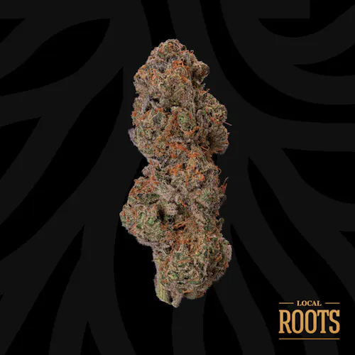 Cookie Hashplant-active