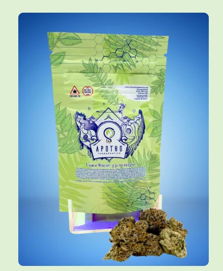 Product Pineapple Mushroom Pupil Buds