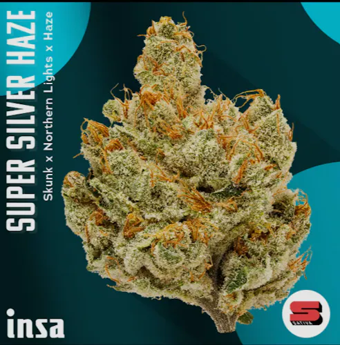 Super Silver Haze | 14g-1