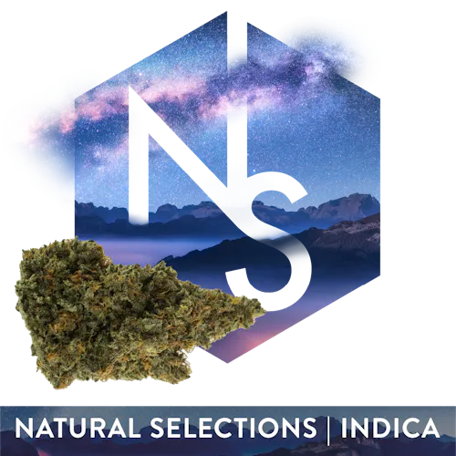 Intergalactic-3