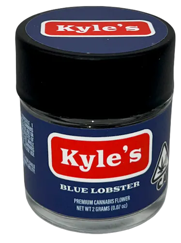 Kyles H Blue Lobster-2