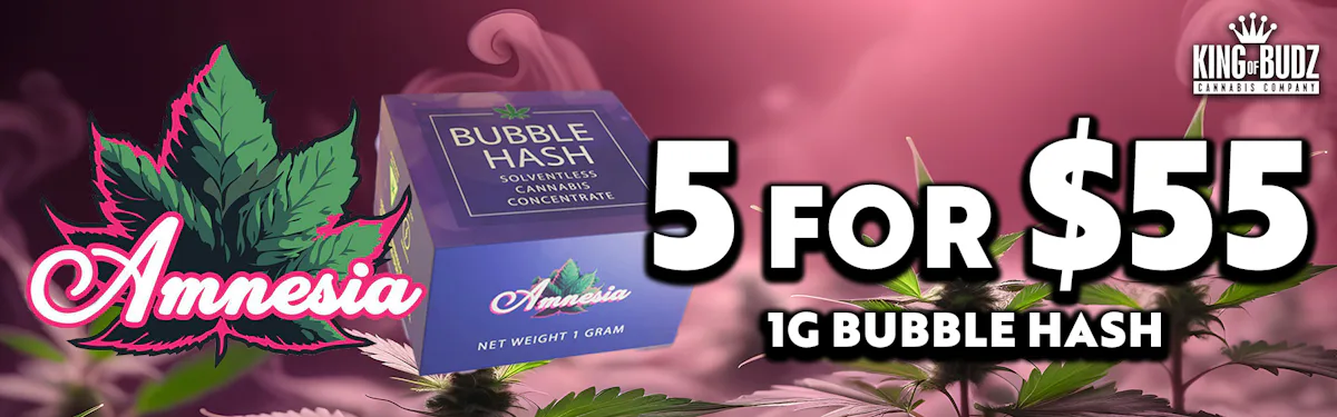 Amnesia 1g Bubble Hash 5/$55