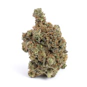 Cannabis Drops – THC Tinctures — Winewood Organics