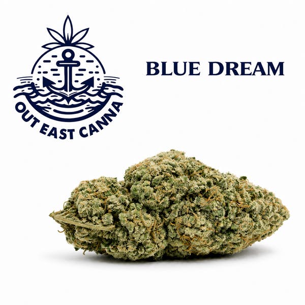 Out East Canna Blue Dream Flower