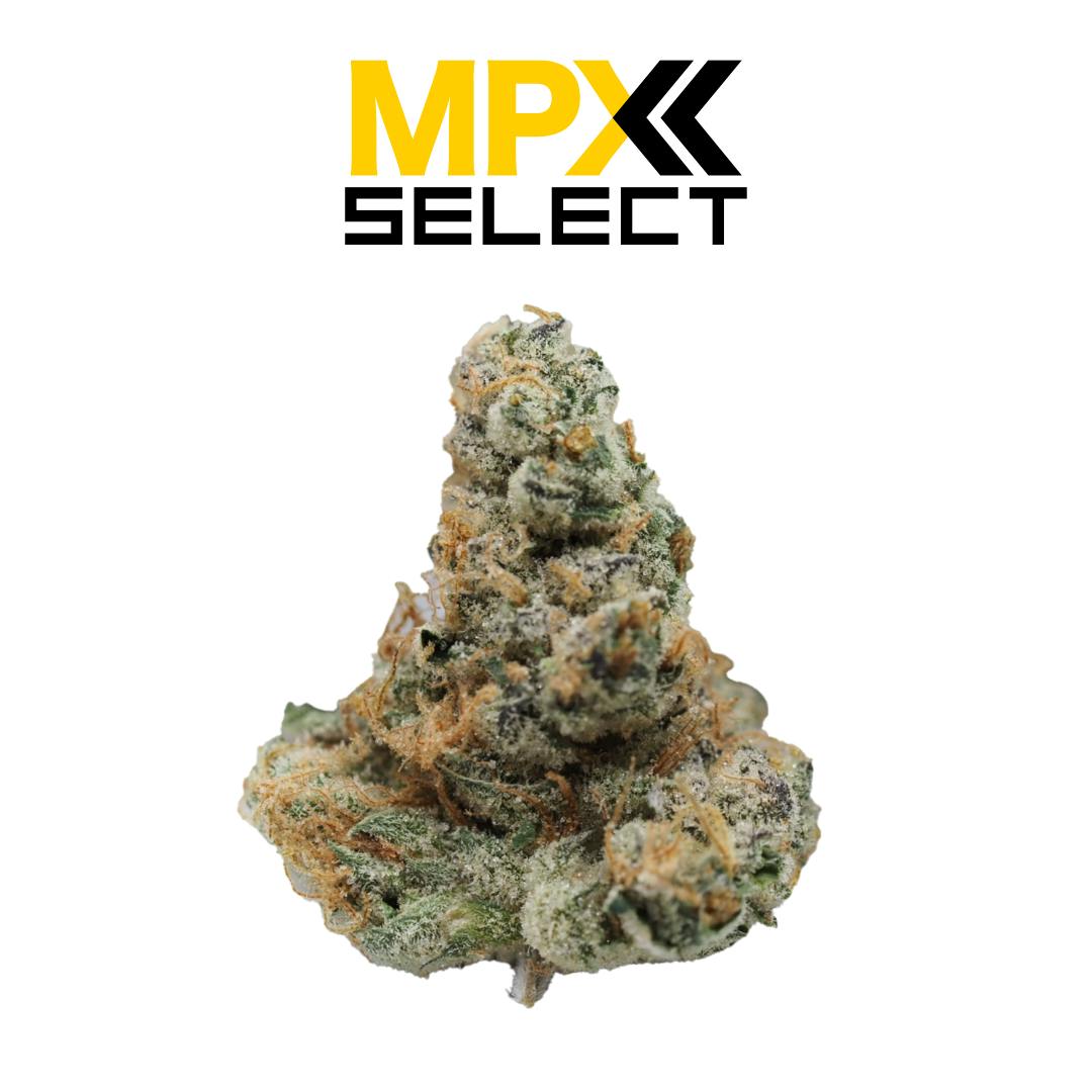 MPX Select Lemon Tree Flower | GrowHealthy