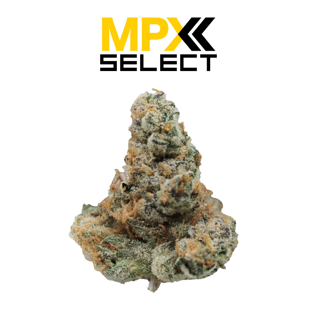 Cannabis Dispensary in Tampa, FL | Open Daily
