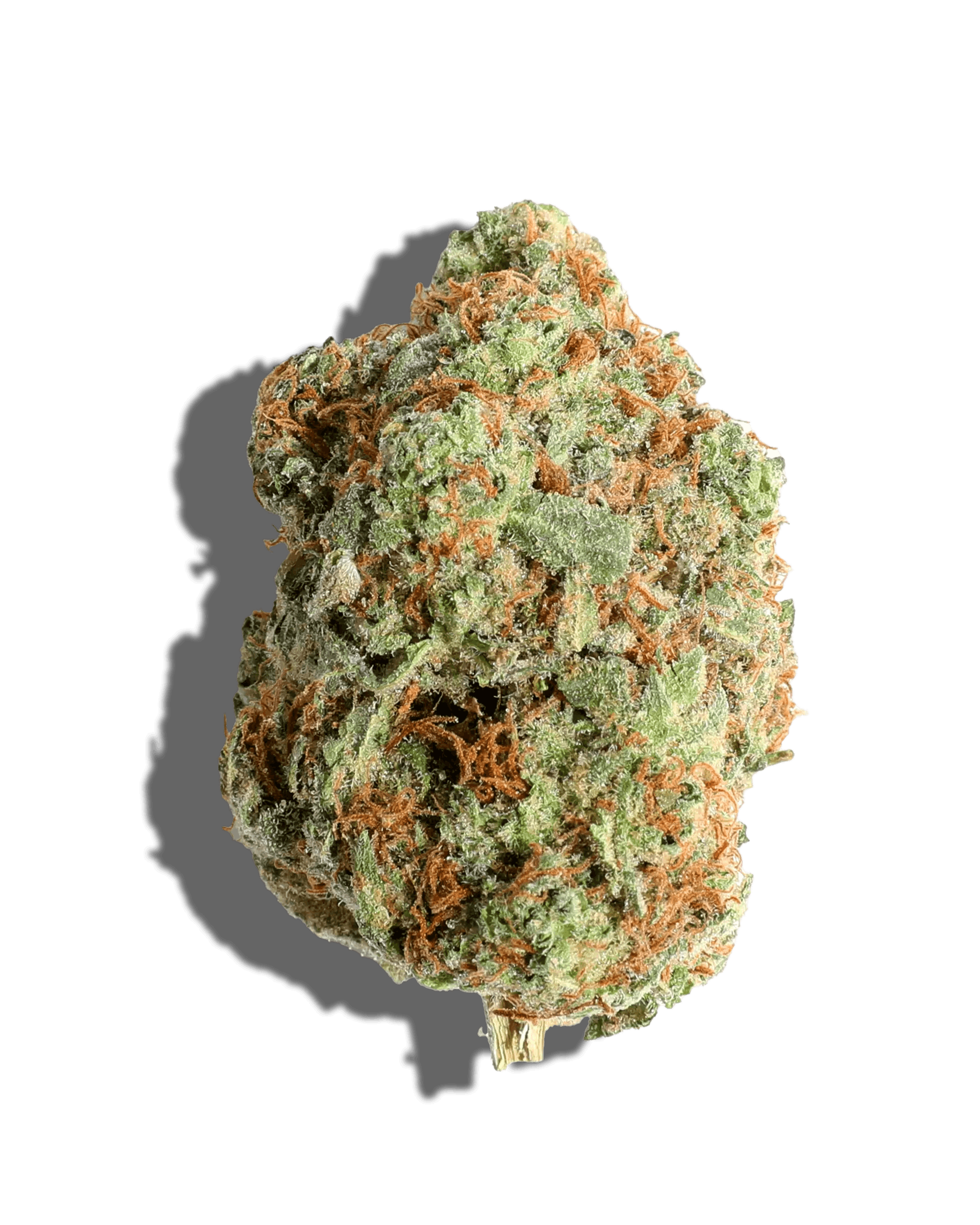 AU Rare Michigan Snozzberry North Coast Provisions