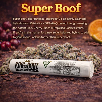 KOB - 1g Preroll - Super Boof