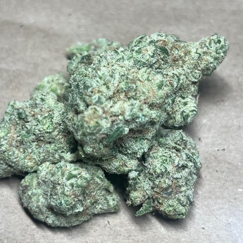 Blue Dream | Flower | 3.5G by Pacha | Buy Online | Treehouse