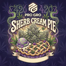 DELI - Sherb Cream Pie