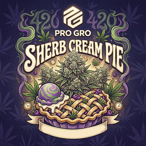 DELI - Sherb Cream Pie