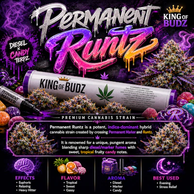 KOB - 1g Preroll - Permanent Runtz