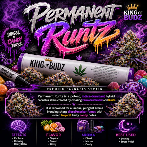 KOB - 1g Preroll - Permanent Runtz