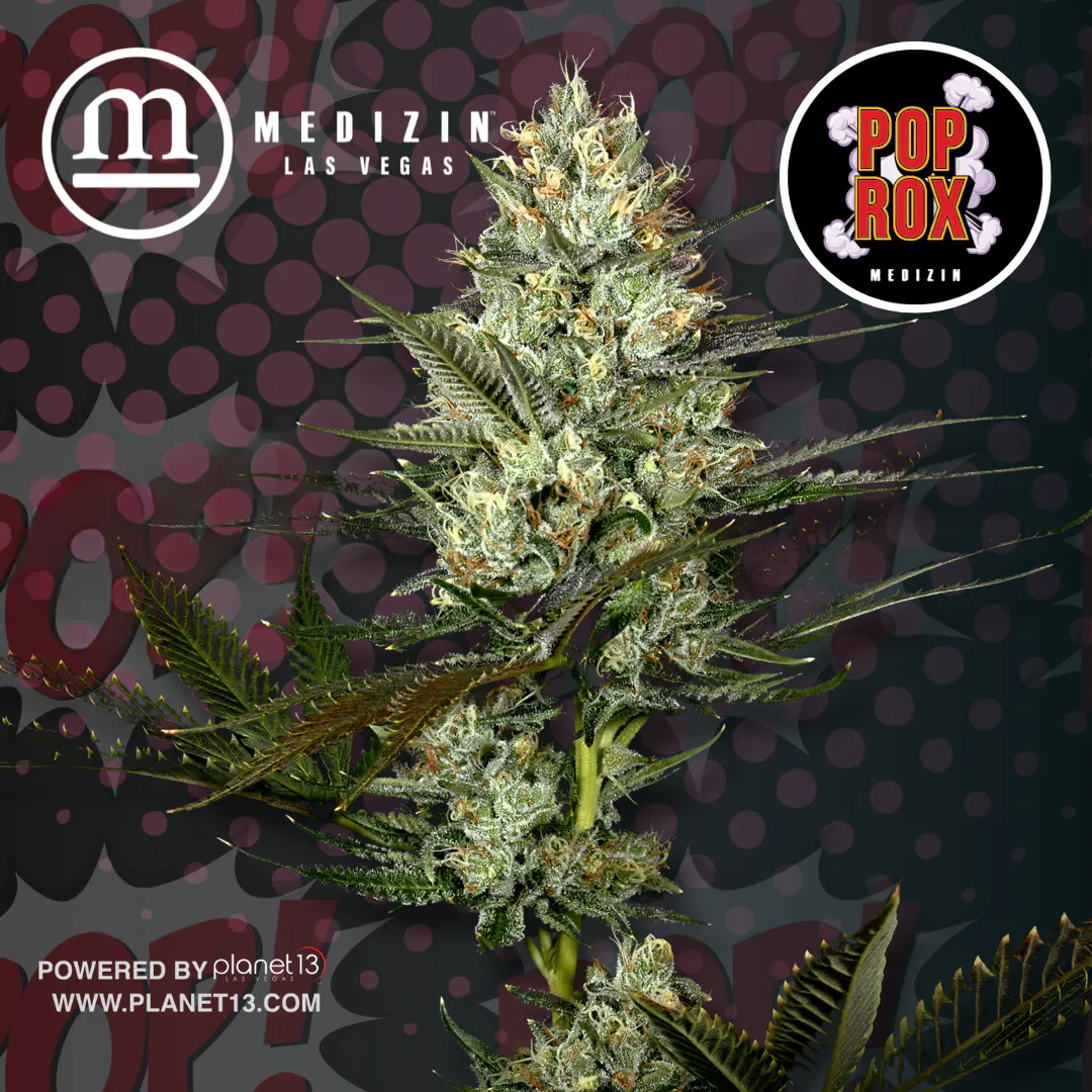 Planet 13 Las Vegas | Shop Cannabis Online