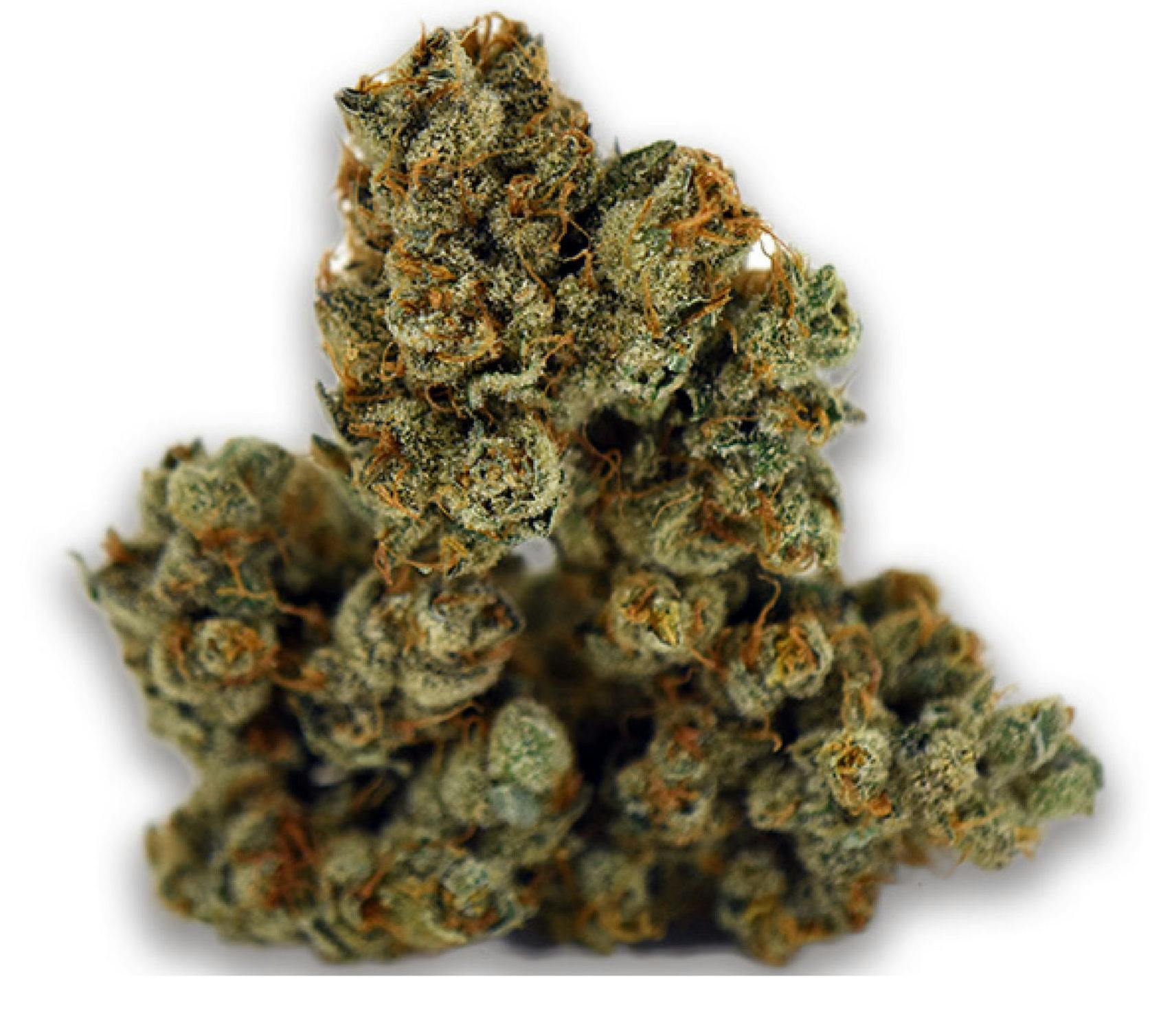 Lion Sap #32 Whole Flower