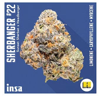 Sherbanger 22  Renew Cannabis Co.