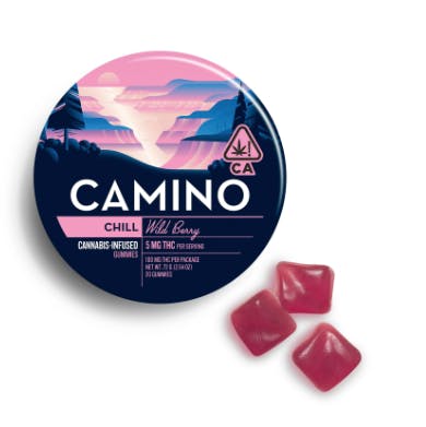 Photo of Camino Chill Wild Berry Gummies 100 mg 20pk