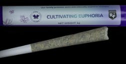 Product Ghost Ride Bubble Hash Infused Pre Roll