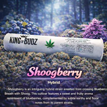 KOB - 1g Preroll - Shoog Berry