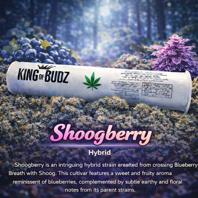 KOB - 1g Preroll - Shoog Berry