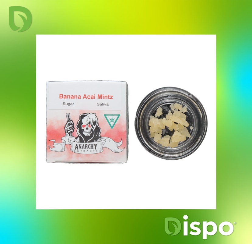 Anarchy - Blueberry Zyrup Shatter