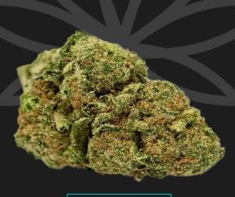 Product White 99 Buds