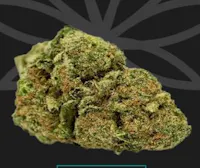 Product White 99 Buds