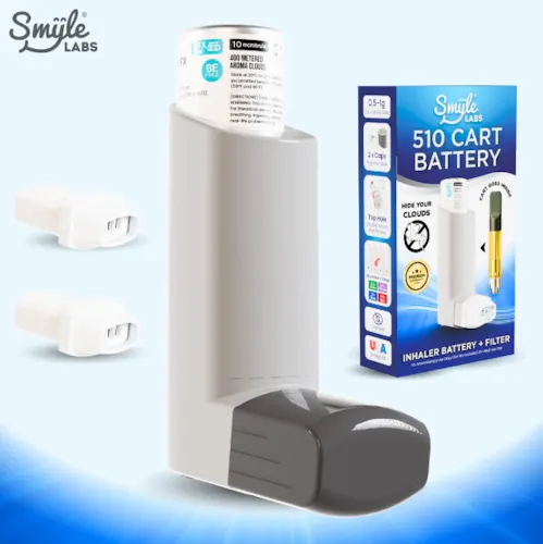 Smyle Labs – Inhaler 510 Cart Battery – Gray-active