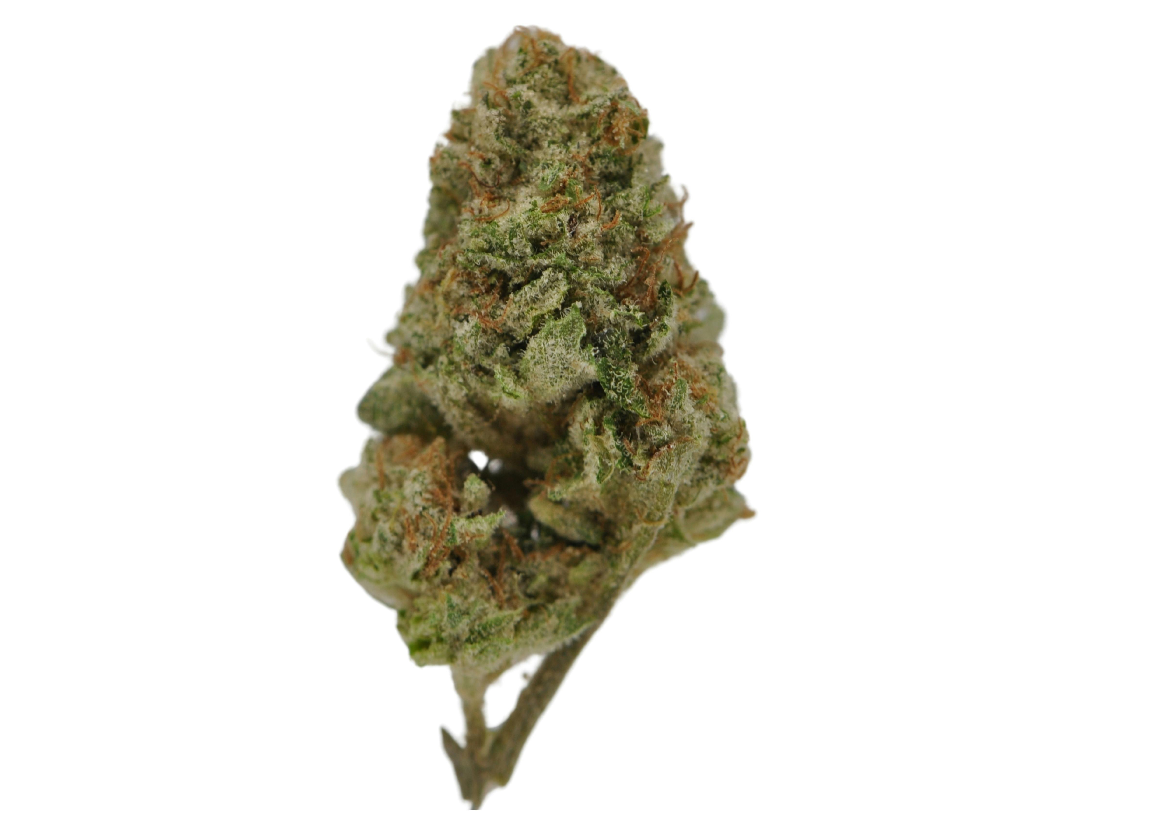 image of MAC Stomper “Small Buds” | 3.5g Prepackaged Flower