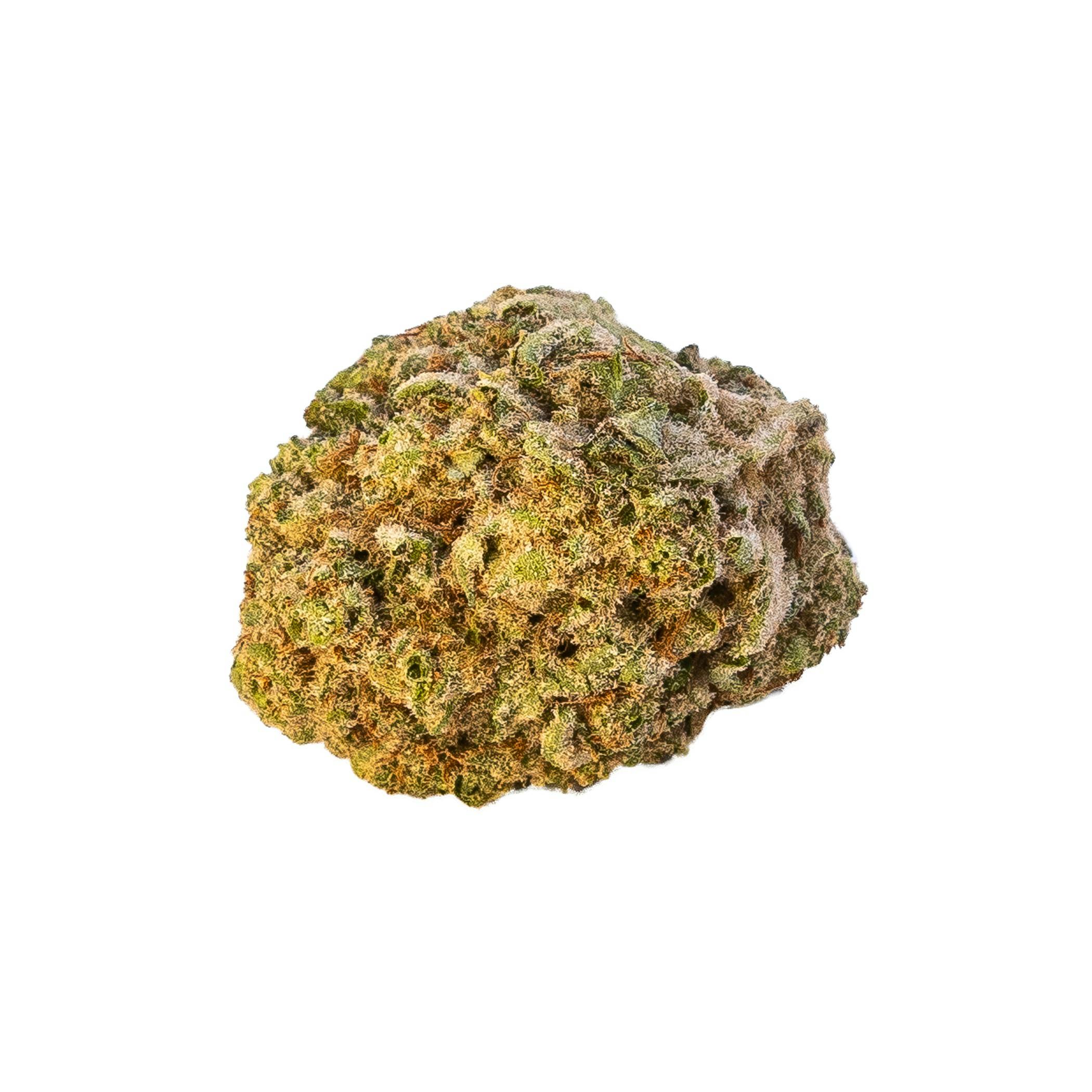 Common Citizen COMMON CITIZEN | MAC N CHEESE | BULK | SMALLS | HYBRID — FLOWER