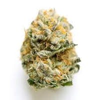 Product White 99 Buds