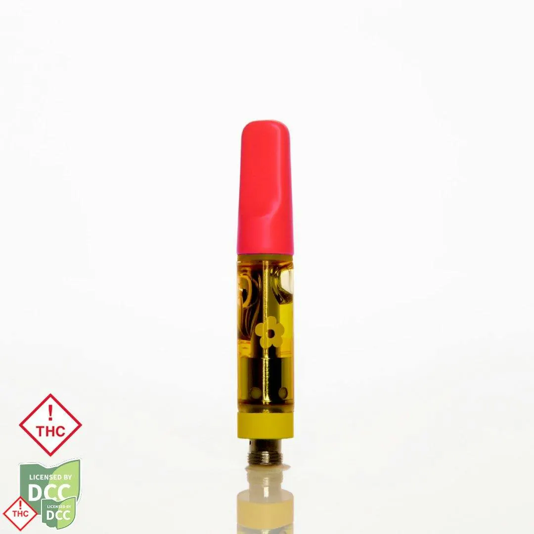 Shop Edie Parker Products in Akron | The Botanist