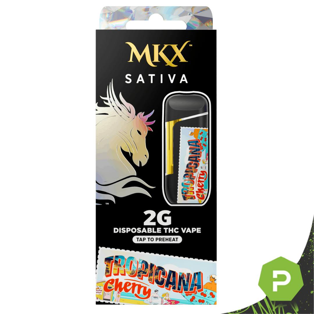 お香 CRDH 2g お香 CRDH 2g お香/室内香『純粋天然原料【無為・轟-MUI・TODOROKI