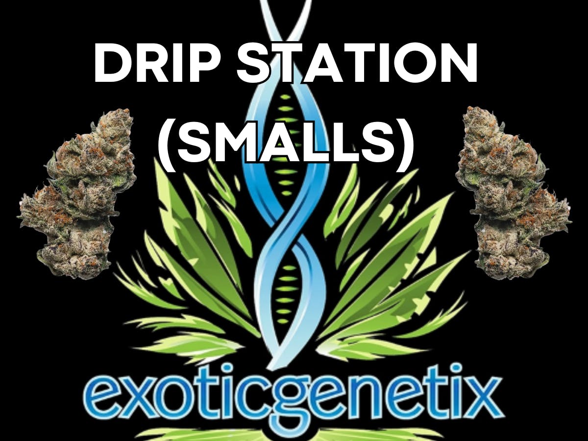 Product: EXOTIC GENETIX | DRIP STATION | SMALLS | BULK | HYBRID