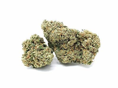 Flower | Platinum Reserve | Titan OG | 3.5g