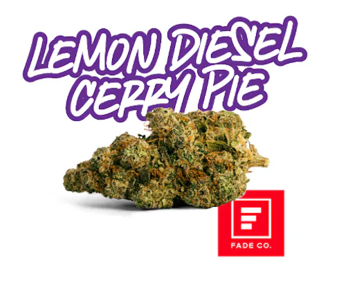 Lemon Diesel Cherry Pie 3.5g – Fade Co. (Pre-Pack)-active