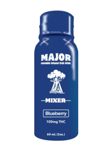 Blueberry – 100mg Drink-active