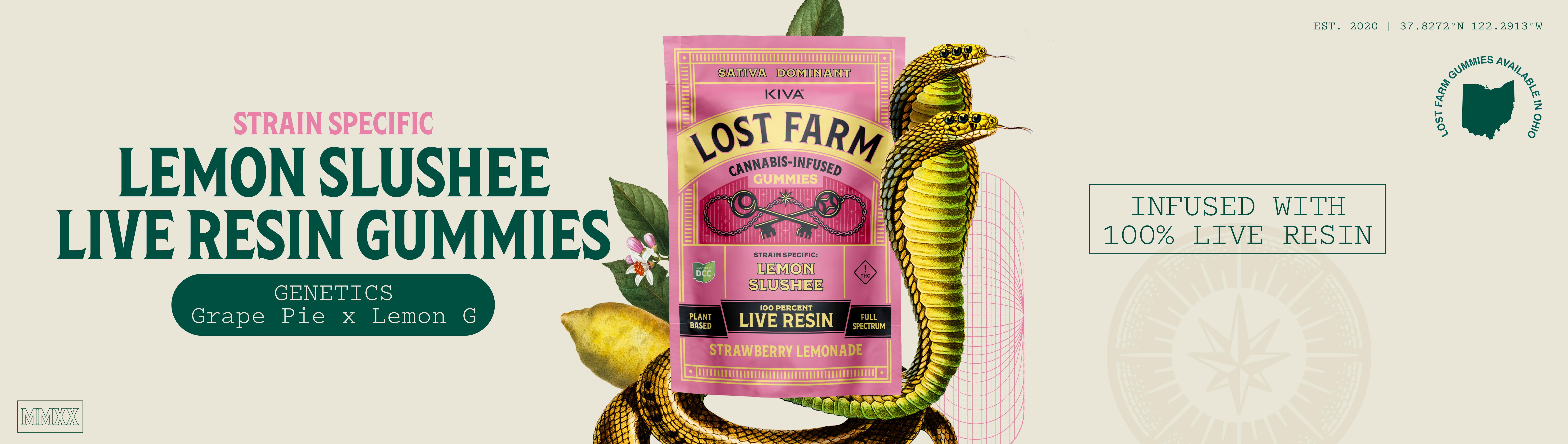 Graphic with Lost Farm gummy bag with text: "Strain specific lemon slushee live resin gummies"
