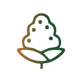 Flower category image