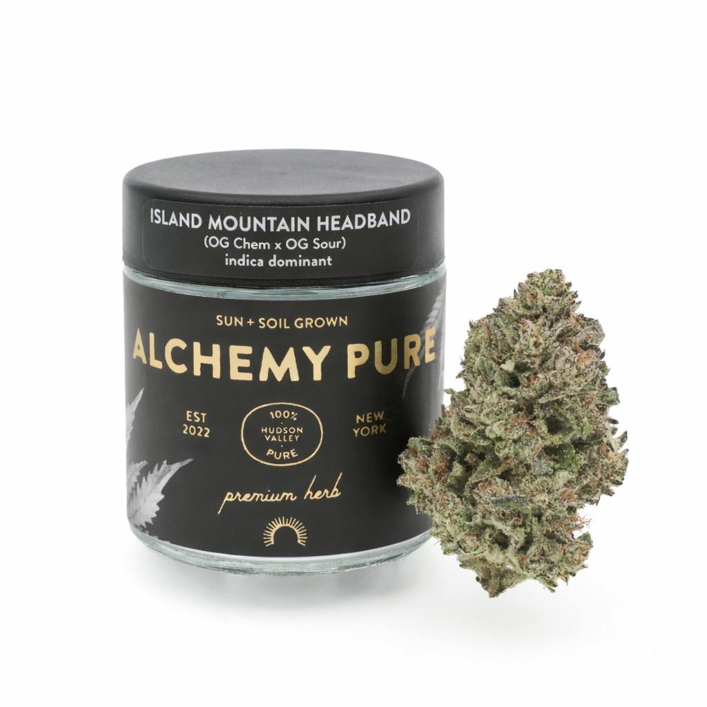 Island Mountain Headband