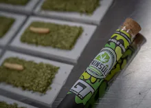 Peninsula - 1.6g Hash Hole Donut - Plan Z x Garlic Cocktail