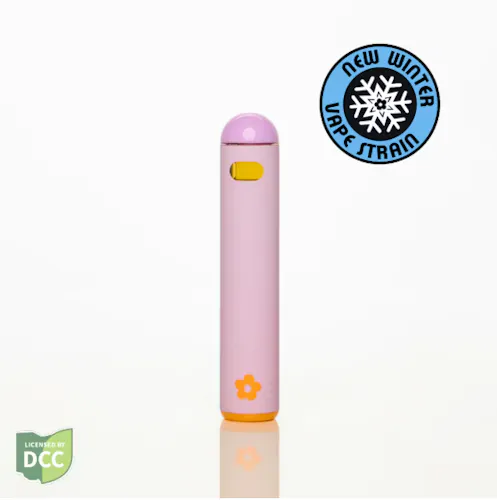 Apres Ski | Disposable-1