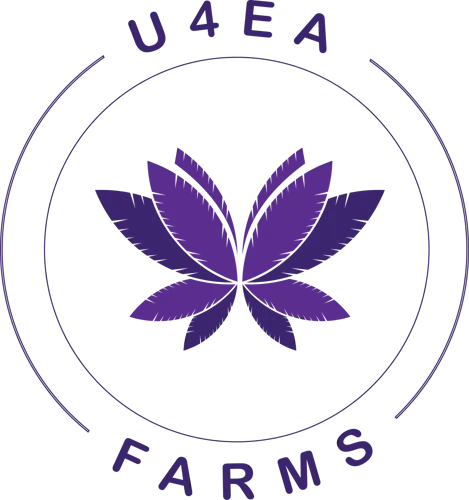 Product: U4EA Farms | Cherry Scented Marker | Hash Infused Preroll - 1g