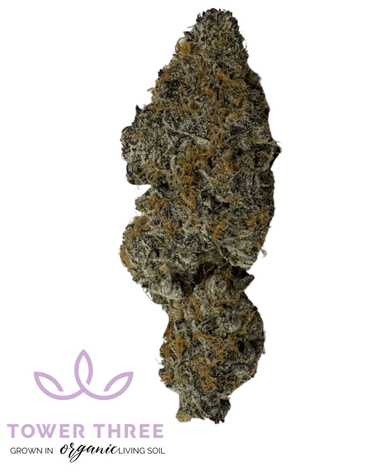 Image of Cold Snap | 3.5g Flower