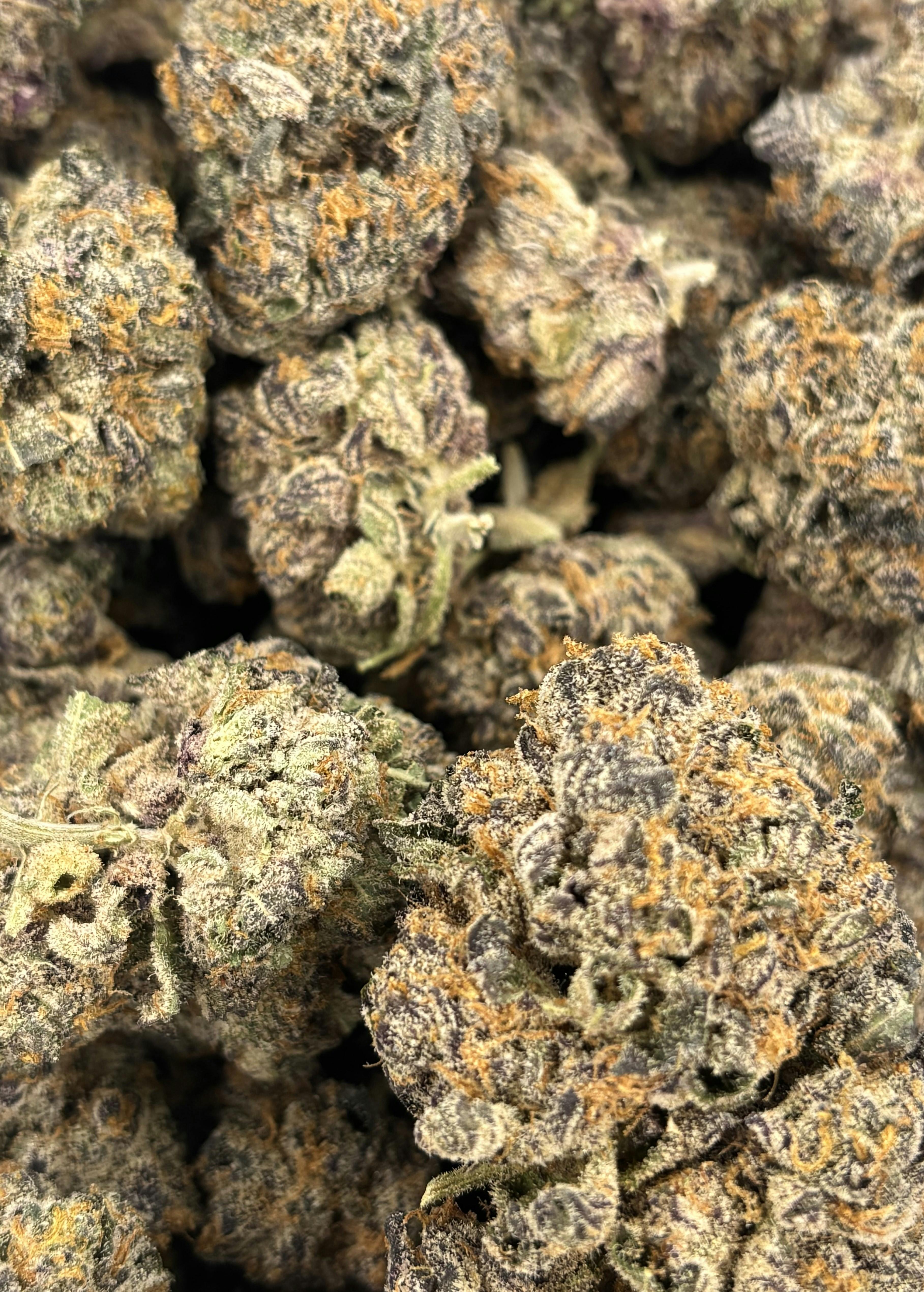 Pro Gro | Zangria | Deli Flower