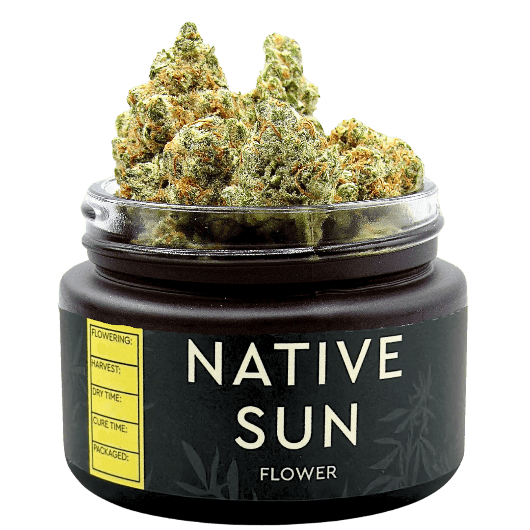 Native Sun Black Haze BX | Flower | 3.5g - Native Sun Cannabis