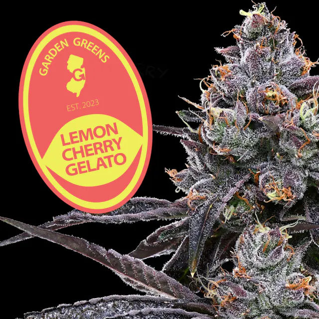 Garden Greens Big Buds Lemon Cherry Gelato 7g (hybrid, flower)