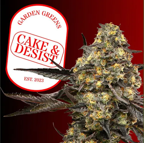 Garden Greens | Pre-Roll Pack | Cake & Desist | 2pk/1g-1