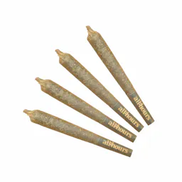 Space Gello Bubble Hash Shorties
